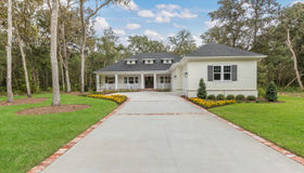 222 Hallowes Cove, St Johns, FL 32259