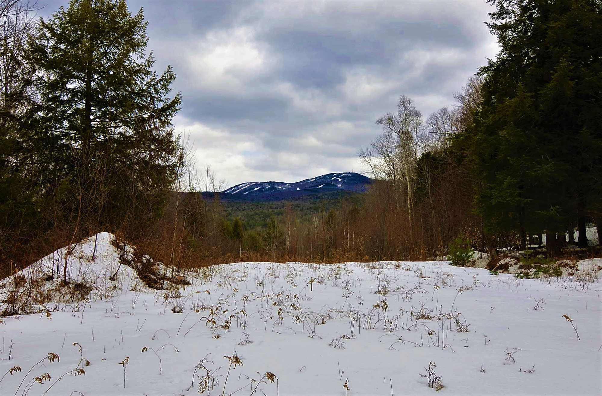 Another Property Sold 481 East Mountain Road, Newport, NH 03773