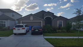 11827 Thicket Wood Drive, Riverview, FL 33579