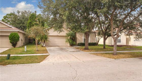 19106 Wood Sage Drive, Tampa, FL 33647