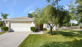 2635 Buckhorn Preserve Boulevard, Valrico, FL 33596