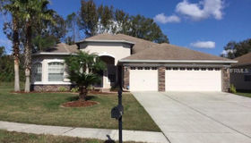 23307 Dinhurst Court, Land O Lakes, FL 34639
