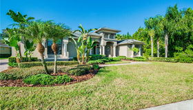 1535 Lake Polo Drive, Odessa, FL 33556