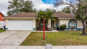 507 Rapid Falls Drive, Brandon, FL 33511
