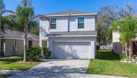 10611 Summer Azure Drive, Riverview, FL 33578