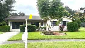709 Holly Terrace, Brandon, FL 33511