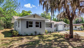 406 N Palm Avenue, Howey IN The Hills, FL 34737