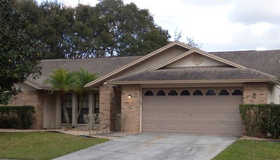 3005 Starmount Drive, Valrico, FL 33596