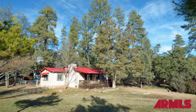 6368 W Barton Drive, Pine, AZ 85544