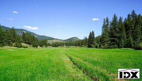 2067 Evans Ranch Road, Evergreen, CO 80439
