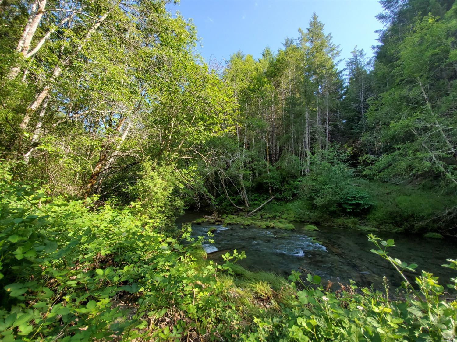 Another Property Sold 0 Hollow Tree Creek Road, Leggett, CA 95585