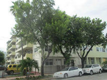 528 Meridian Av #205, Miami Beach, FL 33139