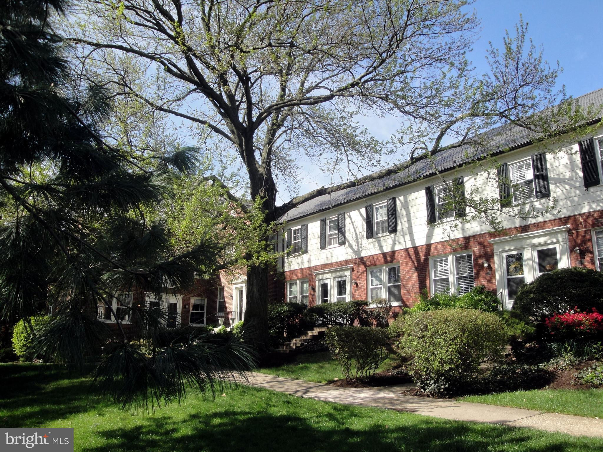 Video Tour ARLINGTON, VA 22204 Real Estate For Sale Jan Kennemer