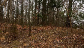 11318 nw Leesburg Pike W, Great Falls, VA 22066