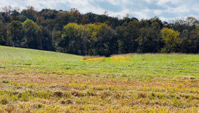 Lot 11 Mountain Ridge Way, Culpeper, VA 22701