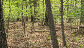 Lot 16 Campbell Lane, Mineral, VA 23117