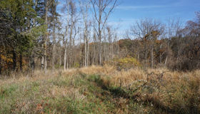 Swinging Bridge, Hedgesville, WV 25427