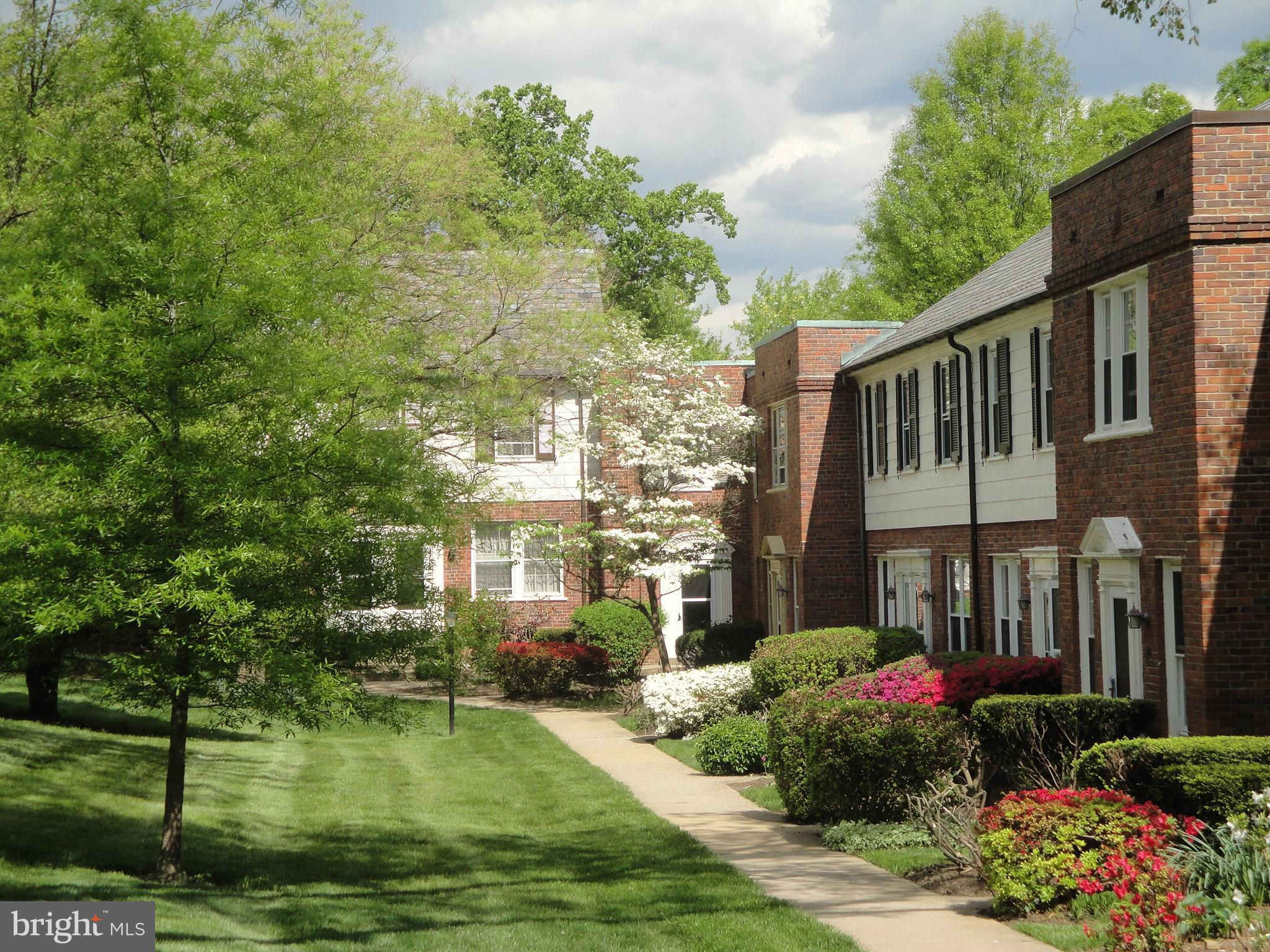 Video Tour ARLINGTON, VA 22204 Real Estate For Sale Jan Kennemer