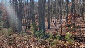 2606/2622 Rocky Knob Road, Connelly Springs, NC 28612