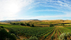 5900 Pearl Road, Emmett, ID 83616