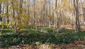 Lot 6 Ashford Lake Drive, Ashford, CT 06278