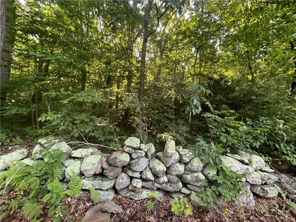 106 Caroline Road, Bozrah, CT 06334 Keri A. Roy REALTOR®