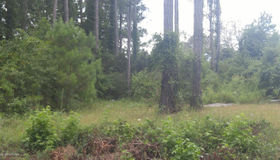 2252 Grouse Street sw #55, Supply, NC 28462