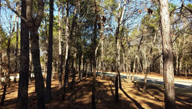 586 Elorriga Drive Se #236, Bolivia, NC 28422