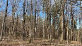 Lot 1 Old Rice Corner Cross Rd, Brookfield, MA 01506