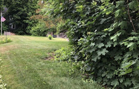 Real estate listing preview #36