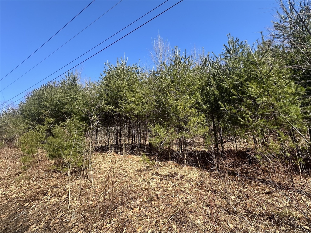 Lot 3 8 Beulah Land Rd., Blandford, MA 01008 MADEIRA Real Estate