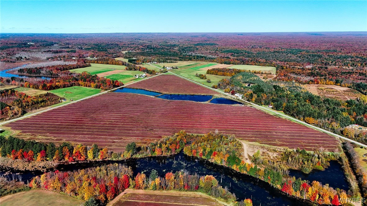 976 State Route 13, Williamstown, NY 13493 Geraldine Andolina