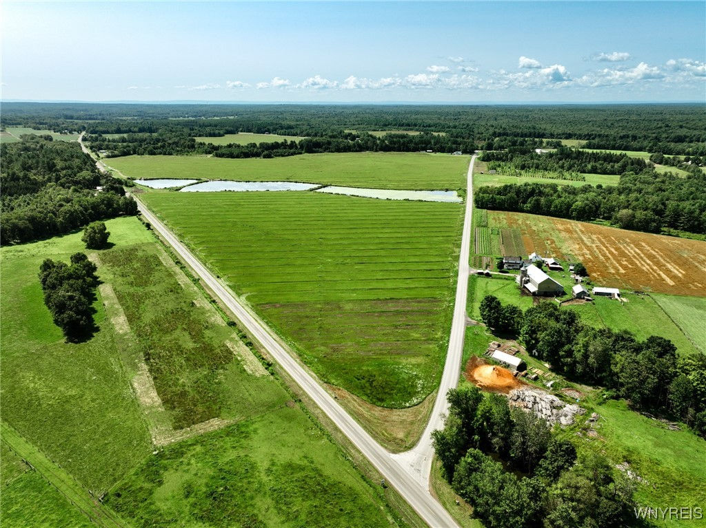 976 State Route 13, Williamstown, NY 13493 Geraldine Andolina