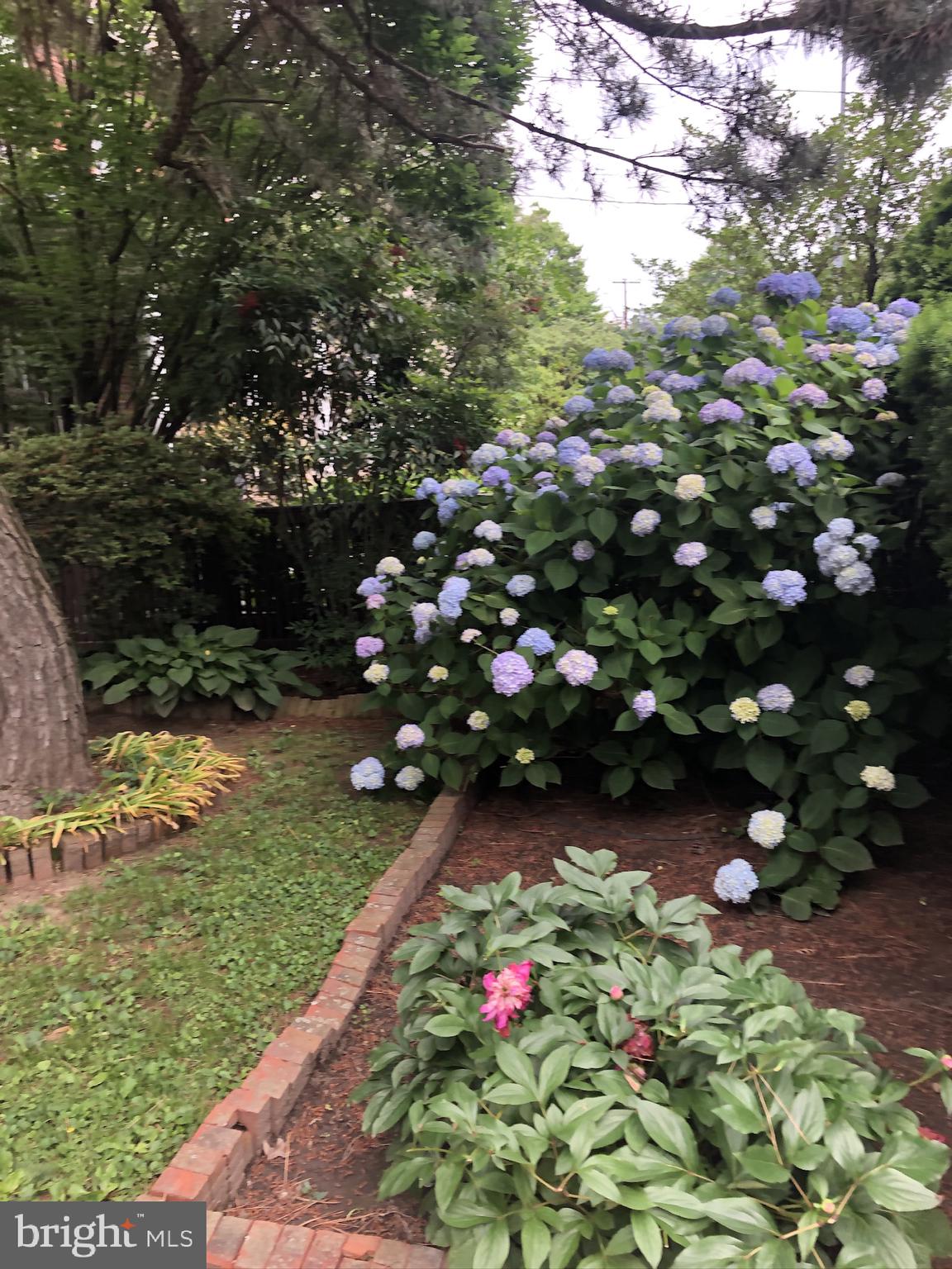 Real estate listing preview #5