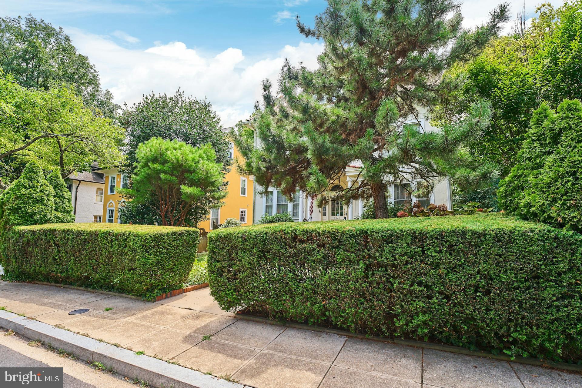 Real estate listing preview #6