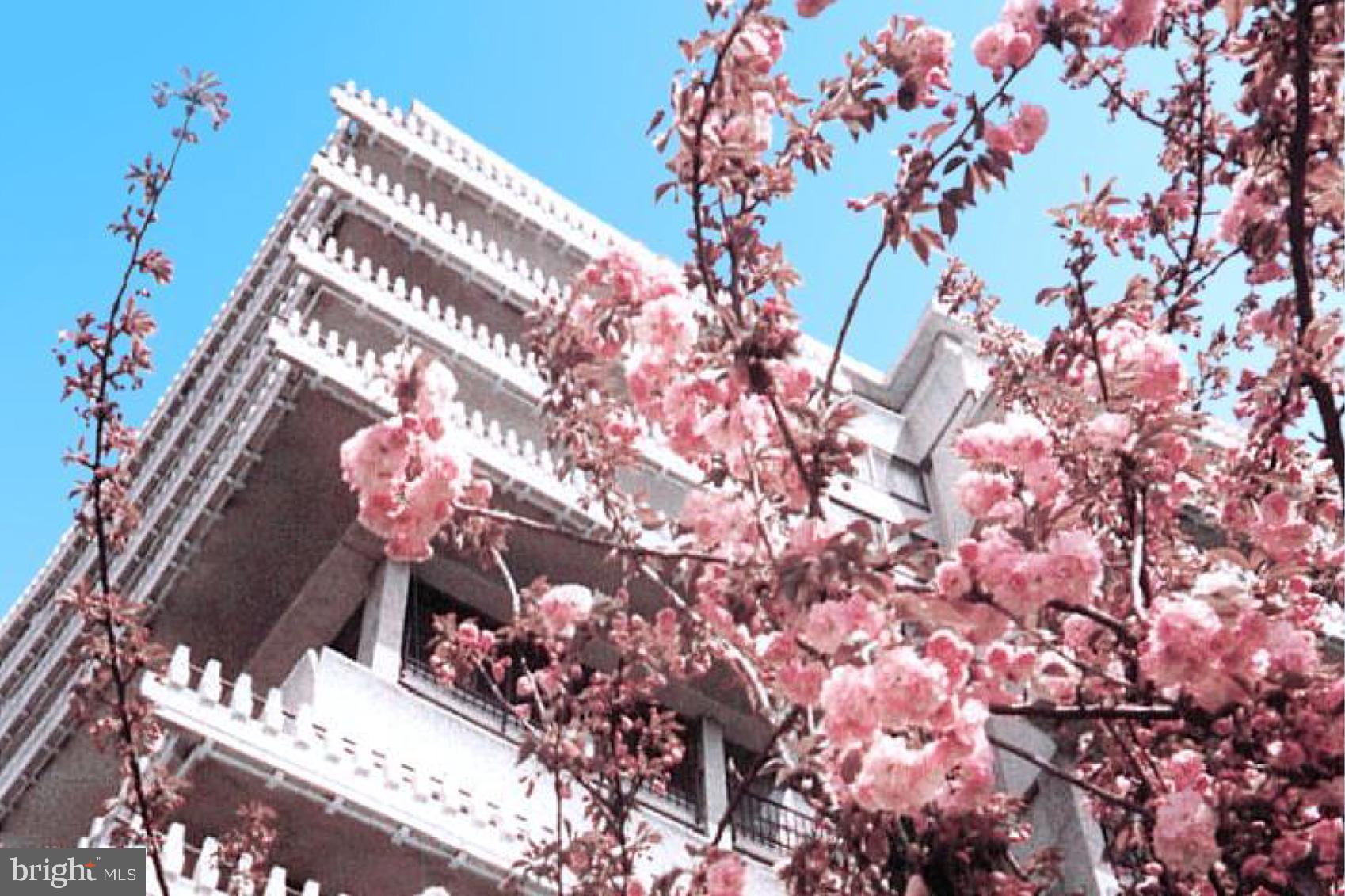 Real estate listing preview #97