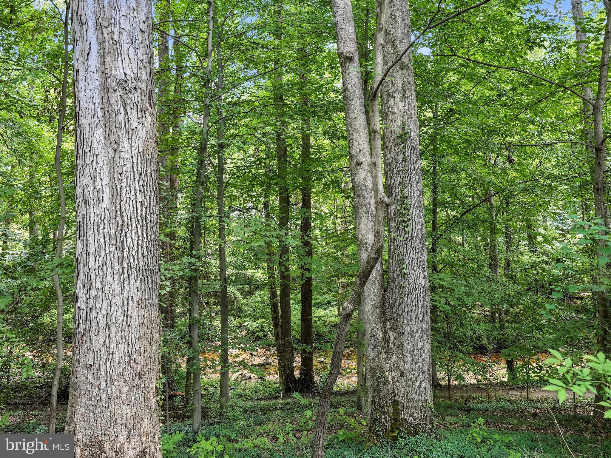 Real estate listing preview #73