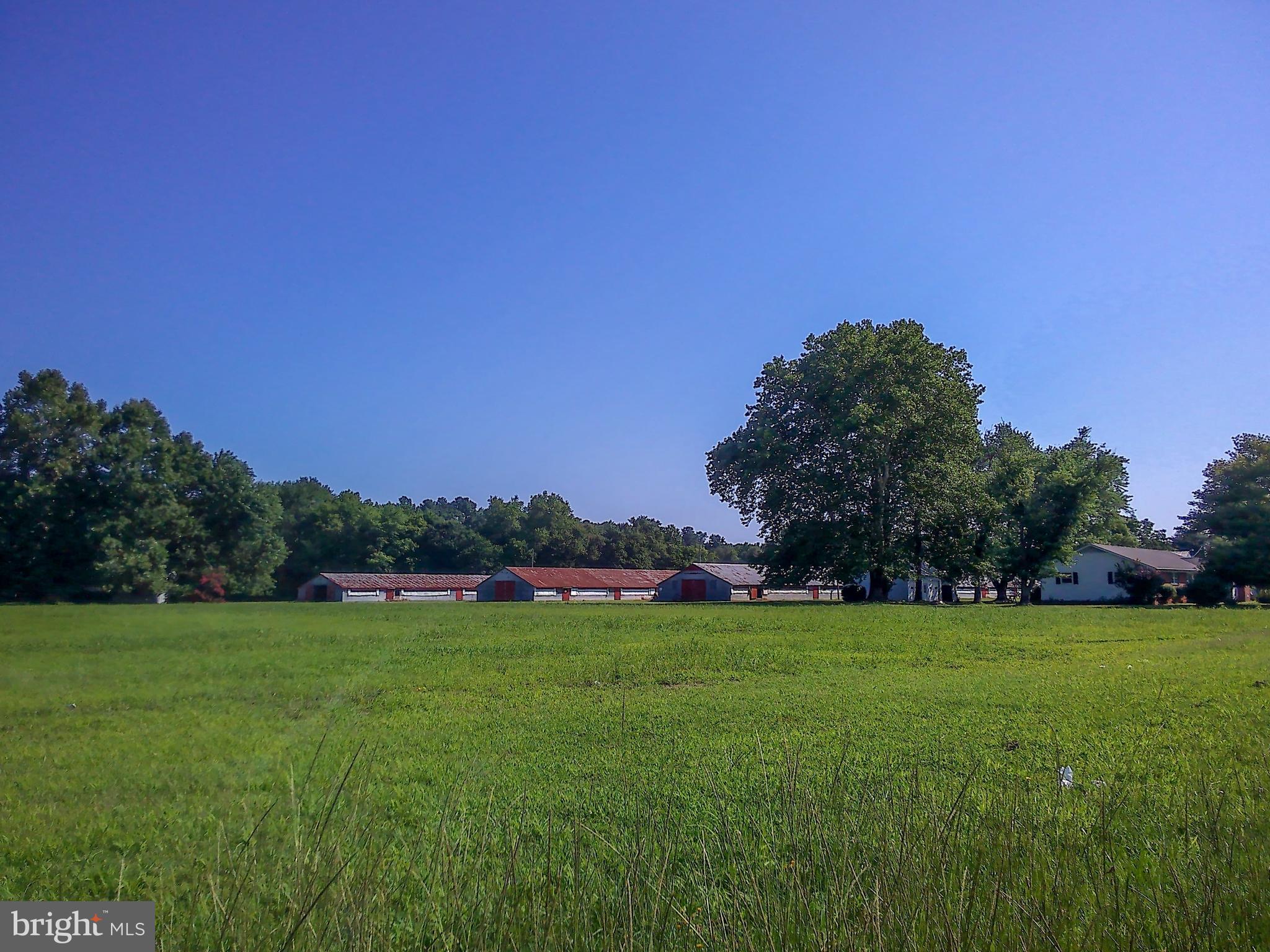 Real estate listing preview #37