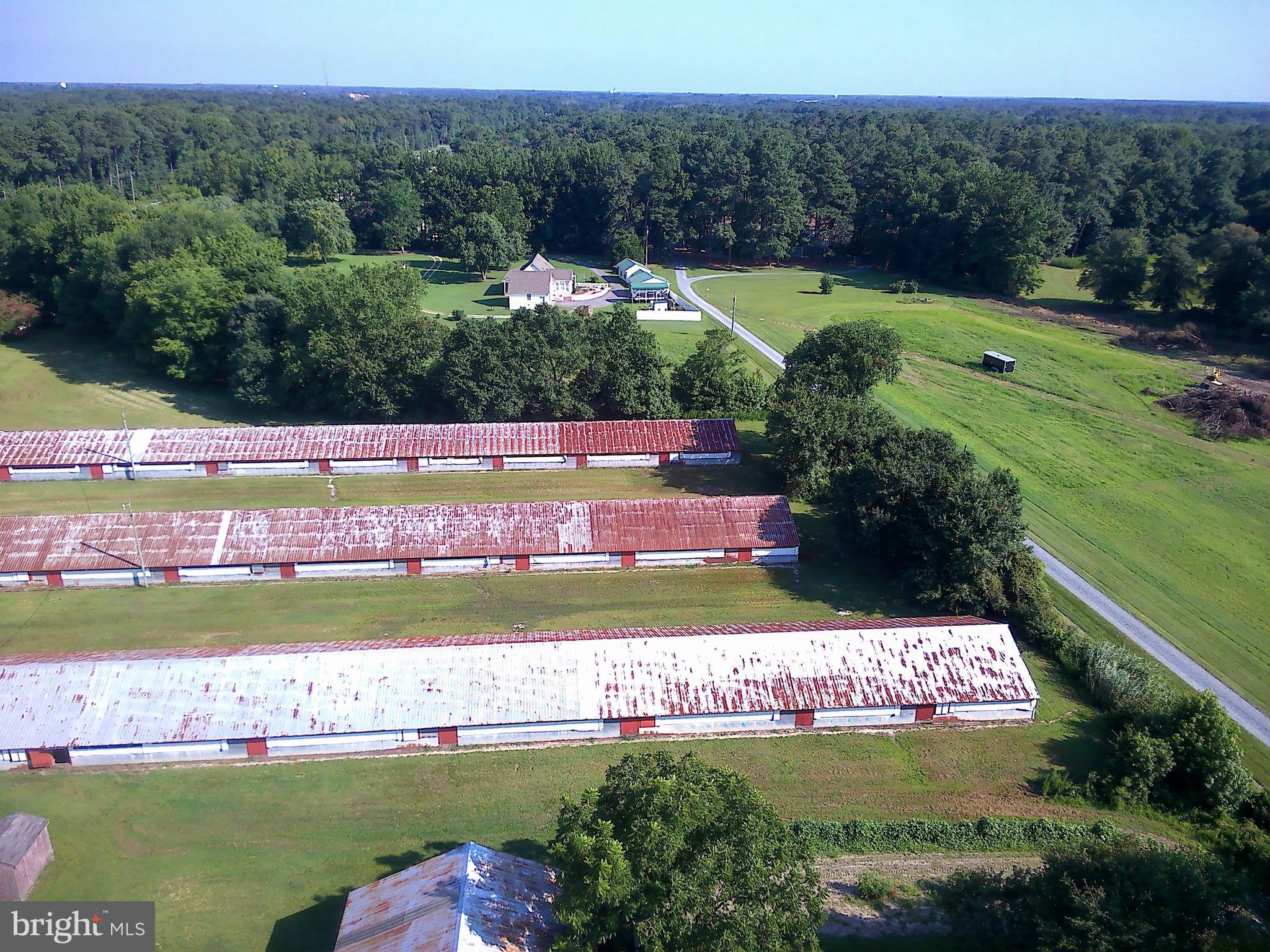 Real estate listing preview #47