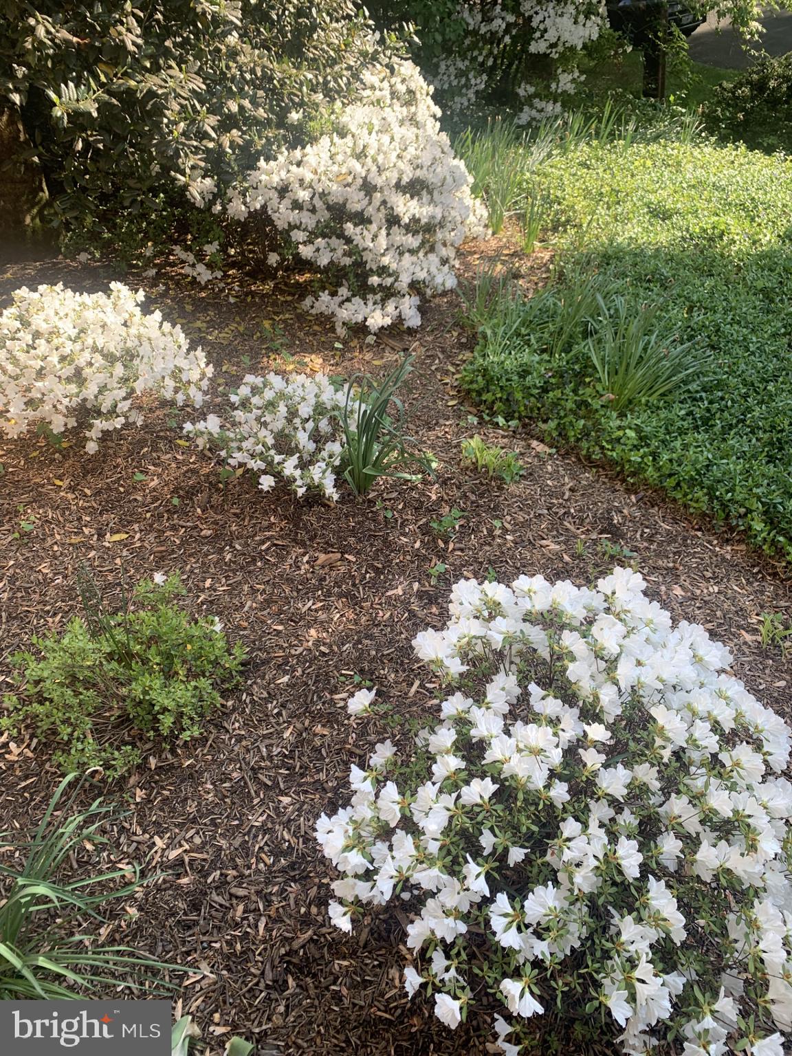 Real estate listing preview #8