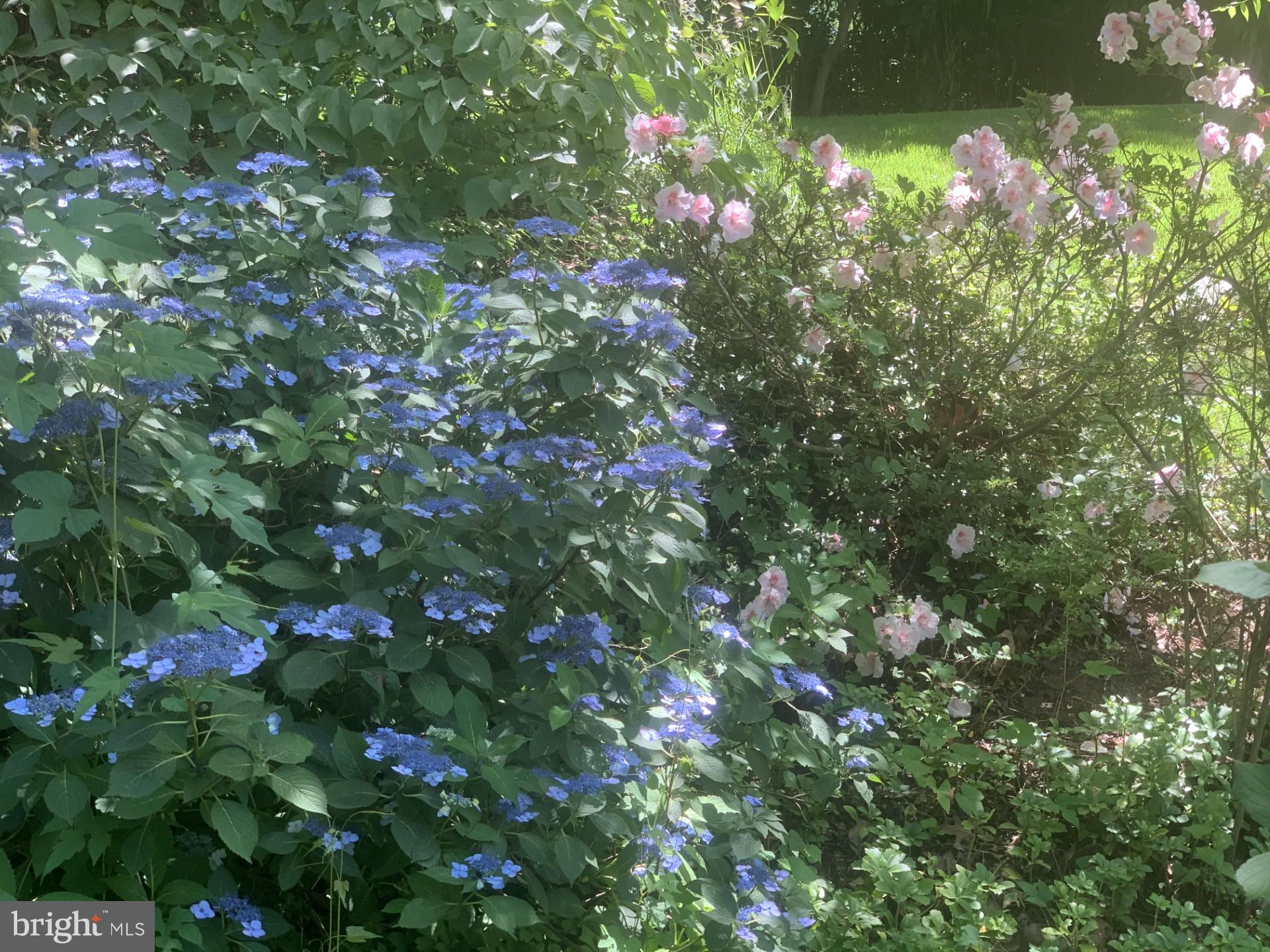 Real estate listing preview #9