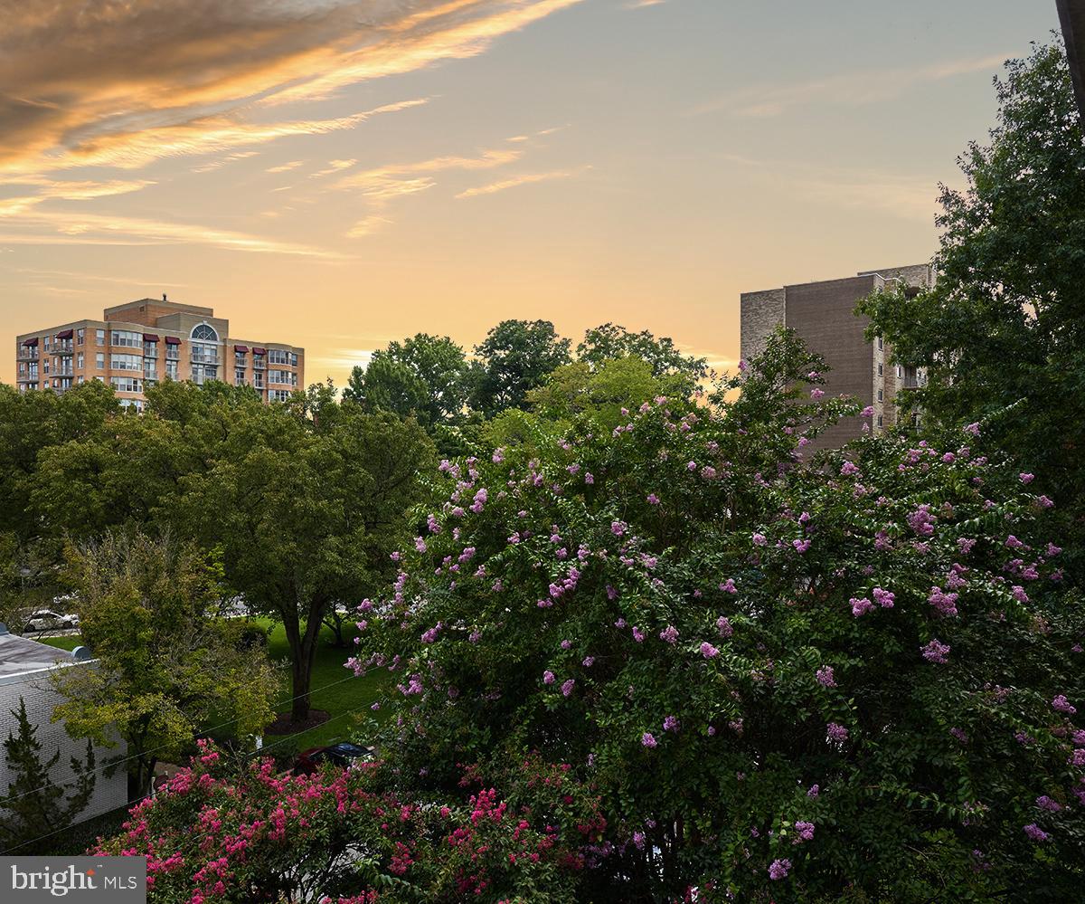 Real estate listing preview #11