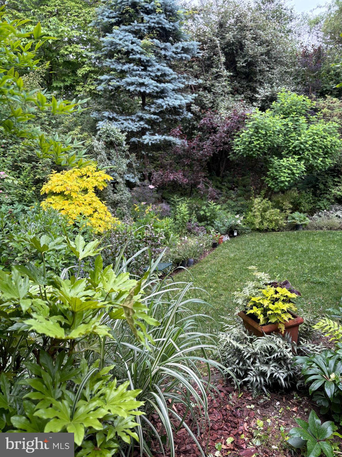 Real estate listing preview #50