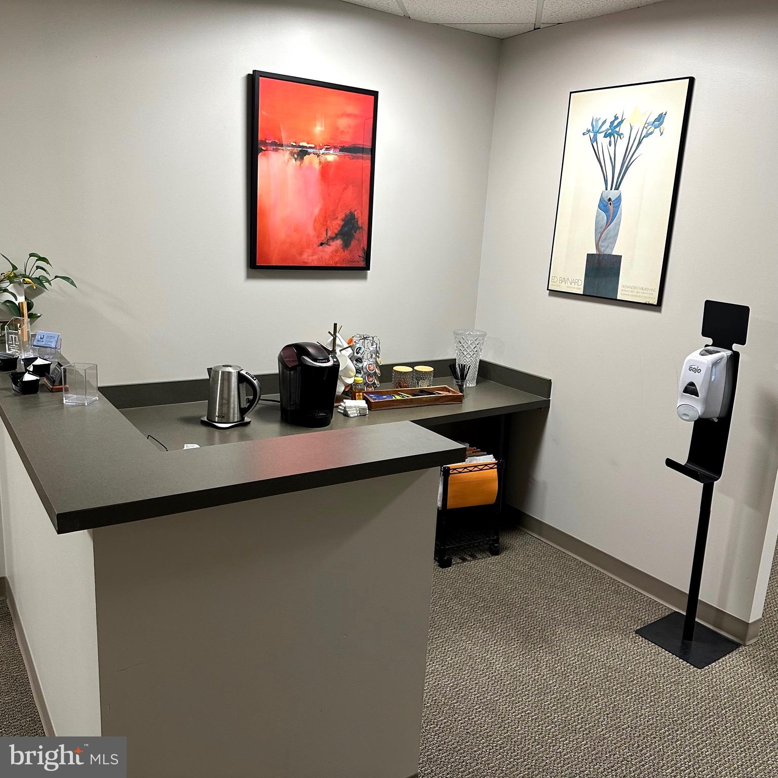 Real estate listing preview #13