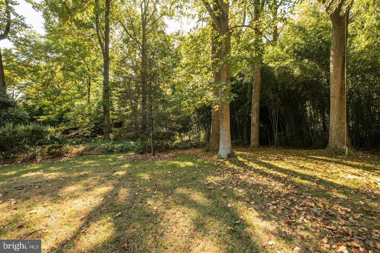 Real estate listing preview #38