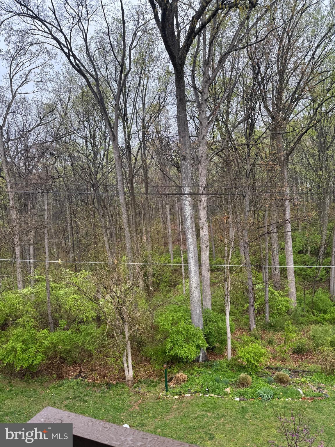 Real estate listing preview #19