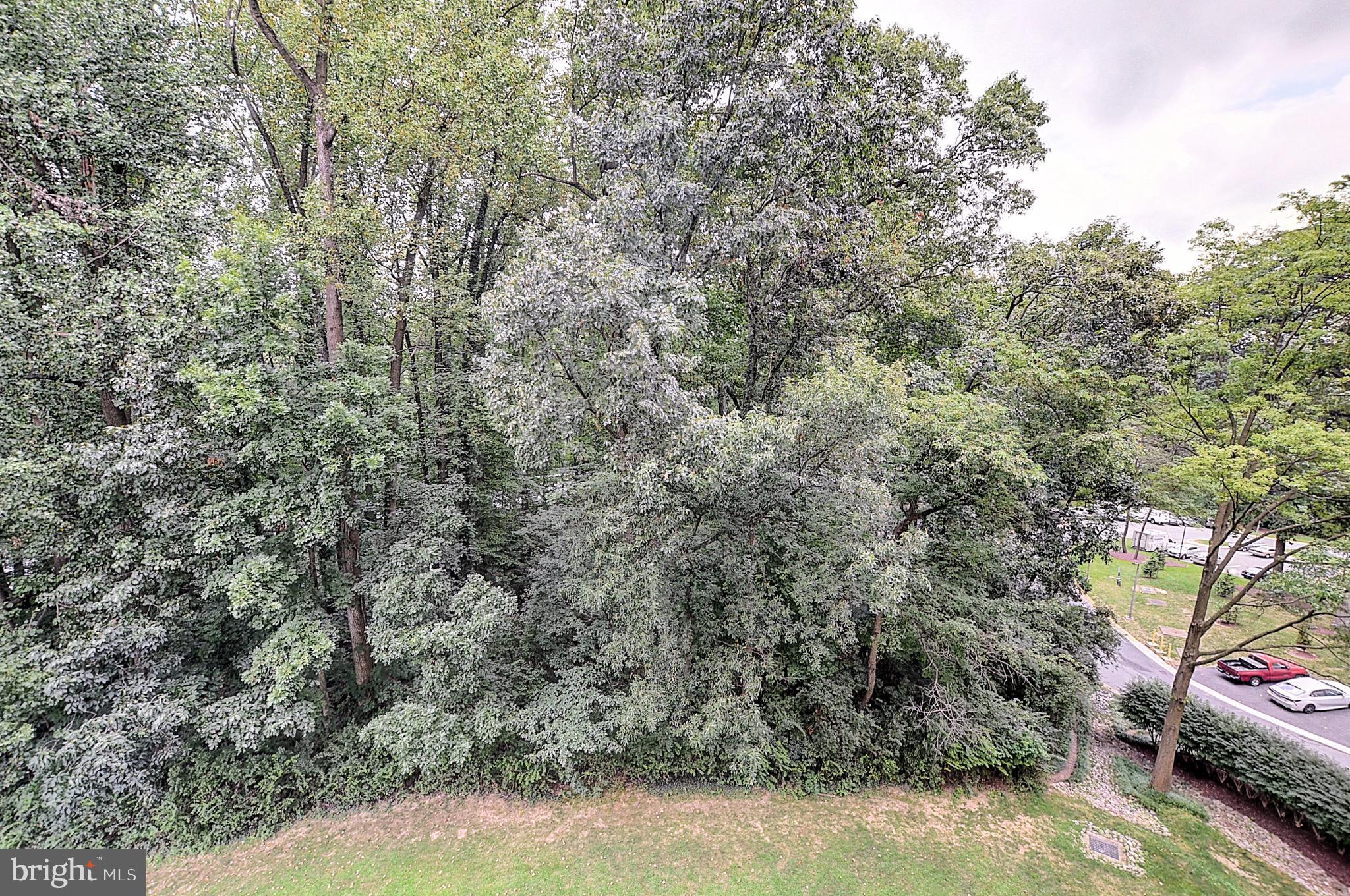 Real estate listing preview #15