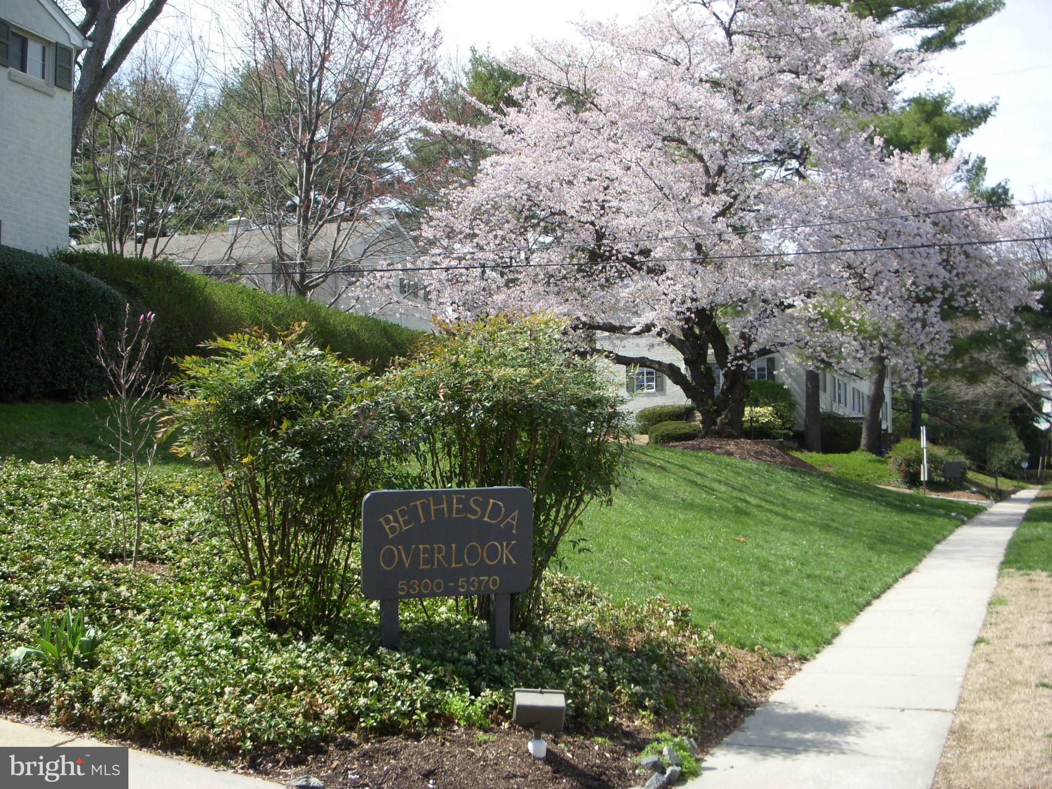 Real estate listing preview #27