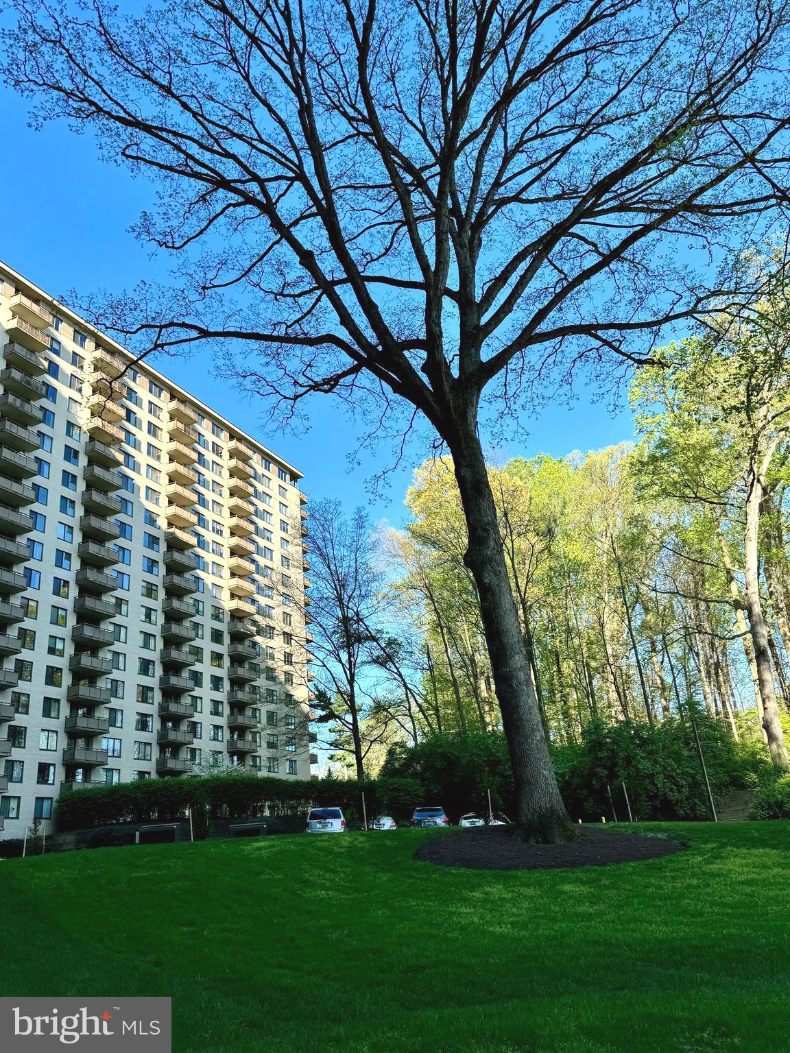 Real estate listing preview #35