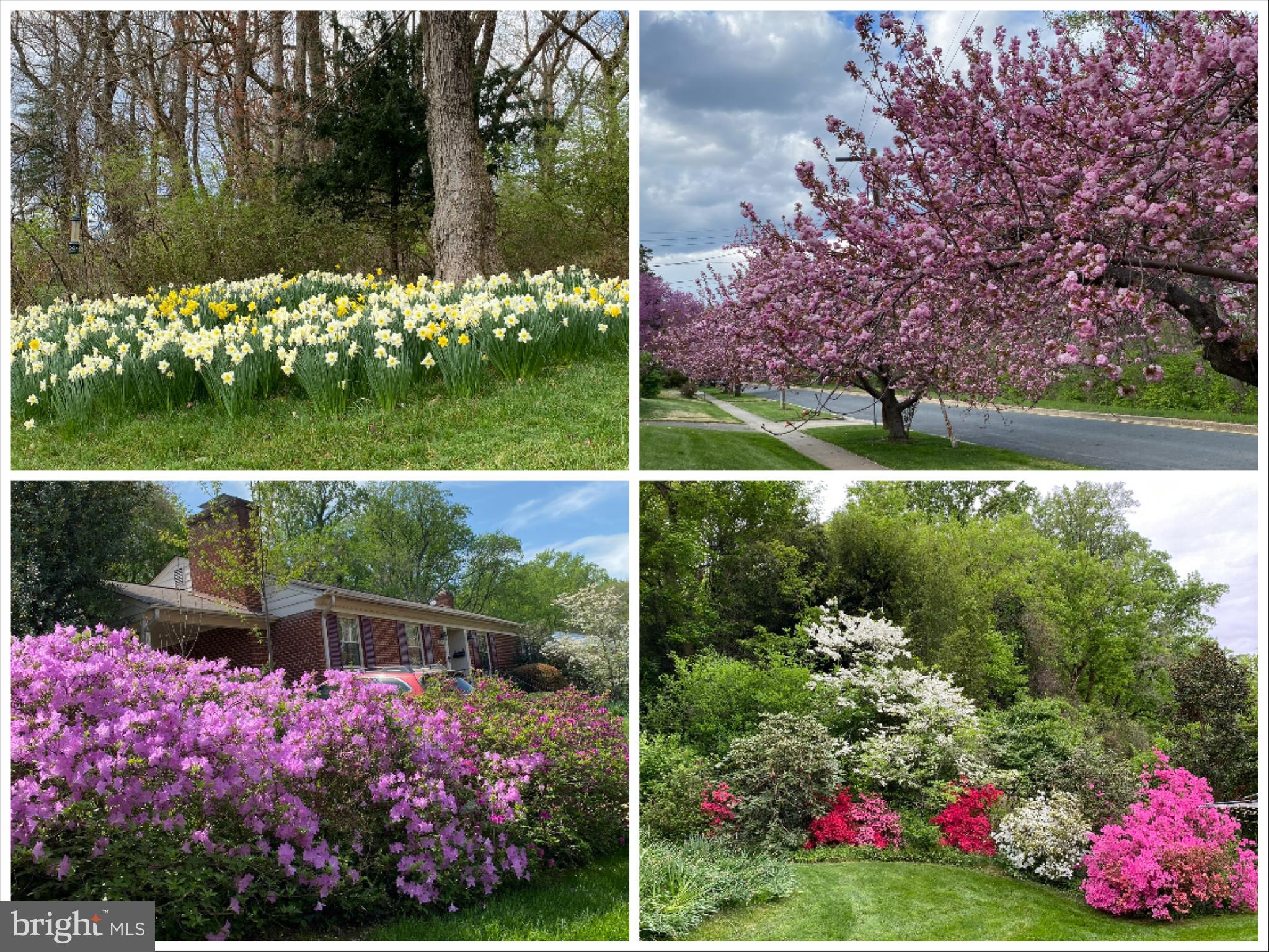 Real estate listing preview #2